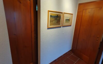 Renovation Naturtüren